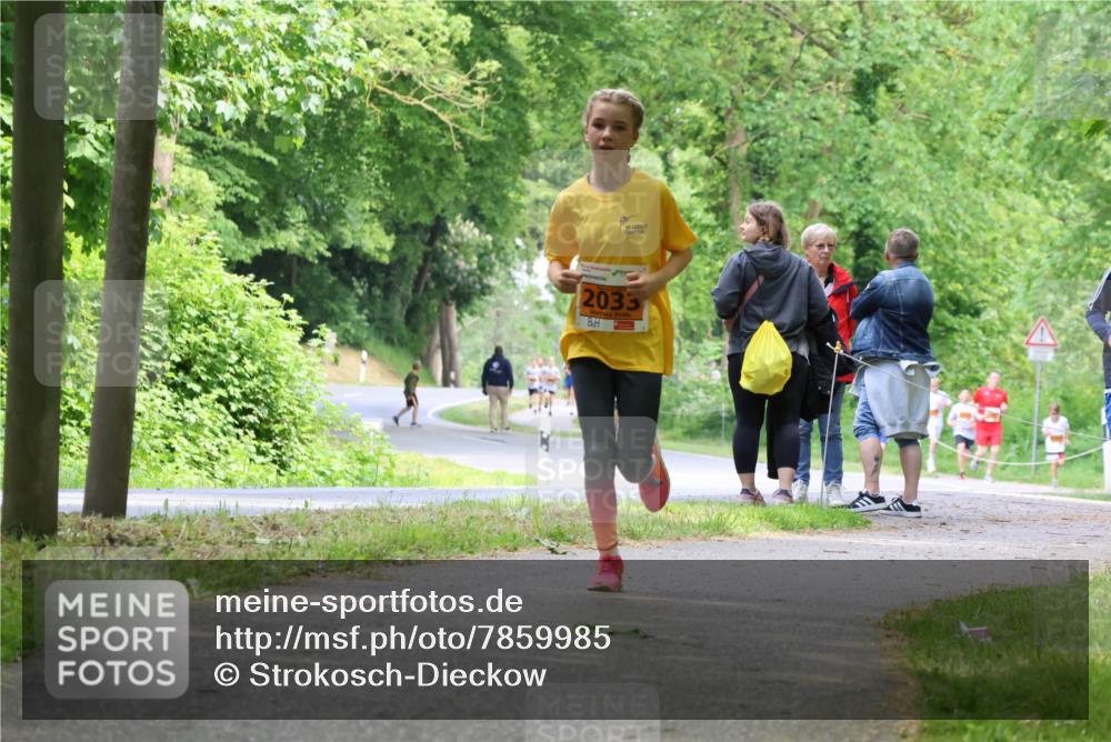 17.05.2025 - Störlauf Strokosch-Dieckow http://msf.ph/oto/7859985 17.05.2025 15:23:24 Laufen 2033 meine-sportfotos.de