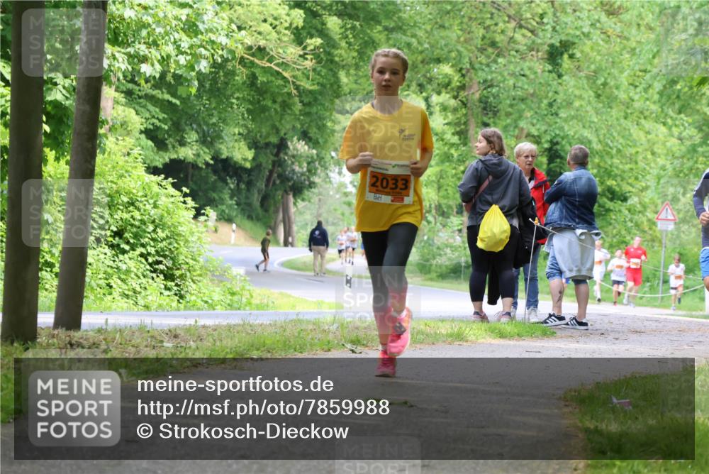 17.05.2025 - Störlauf Strokosch-Dieckow http://msf.ph/oto/7859988 17.05.2025 15:23:24 Laufen 2033 meine-sportfotos.de