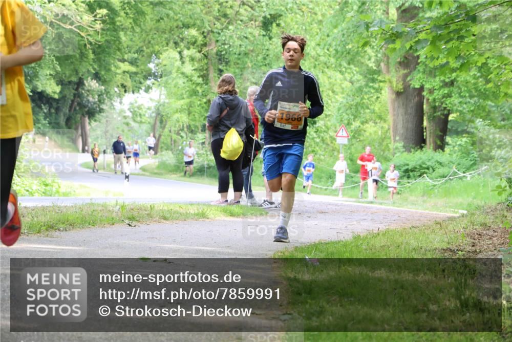 17.05.2025 - Störlauf Strokosch-Dieckow http://msf.ph/oto/7859991 17.05.2025 15:23:26 Laufen 1966, 1 meine-sportfotos.de