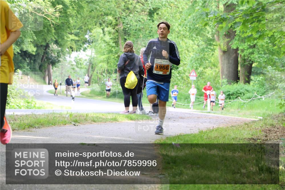 17.05.2025 - Störlauf Strokosch-Dieckow http://msf.ph/oto/7859996 17.05.2025 15:23:26 Laufen 1966 meine-sportfotos.de
