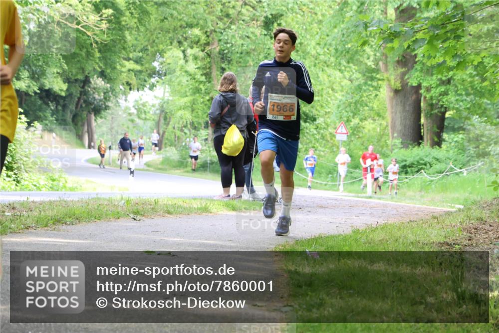17.05.2025 - Störlauf Strokosch-Dieckow http://msf.ph/oto/7860001 17.05.2025 15:23:26 Laufen 1966 meine-sportfotos.de