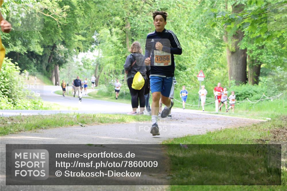 17.05.2025 - Störlauf Strokosch-Dieckow http://msf.ph/oto/7860009 17.05.2025 15:23:26 Laufen 1966 meine-sportfotos.de