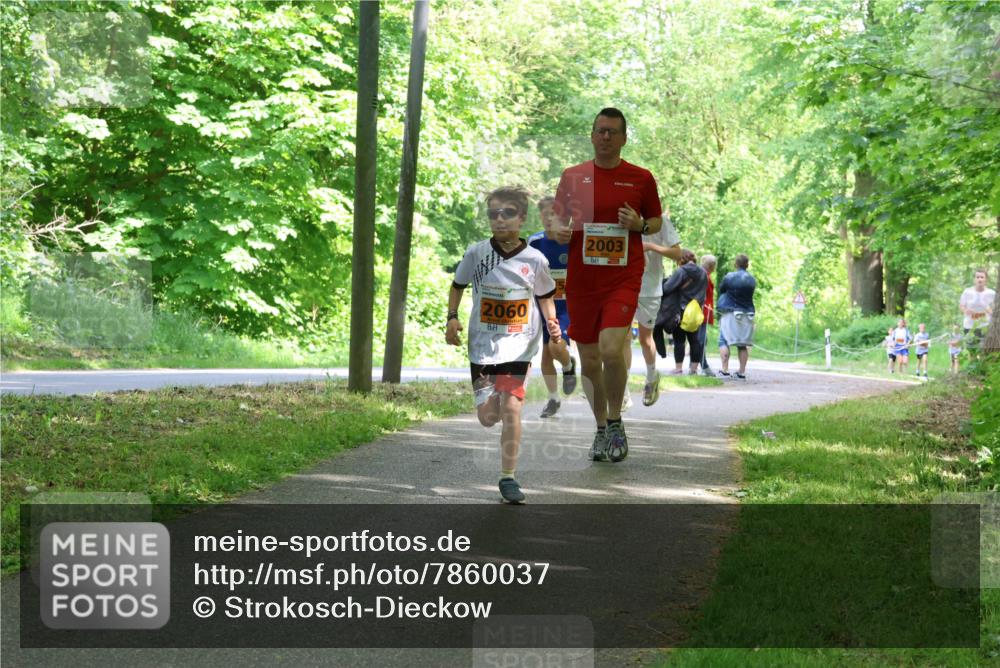 17.05.2025 - Störlauf Strokosch-Dieckow http://msf.ph/oto/7860037 17.05.2025 15:23:48 Laufen 2060, 2003 meine-sportfotos.de