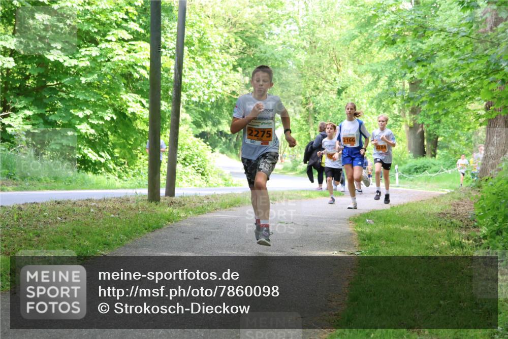 17.05.2025 - Störlauf Strokosch-Dieckow http://msf.ph/oto/7860098 17.05.2025 15:24:05 Laufen 2275, 2166, 2284 meine-sportfotos.de