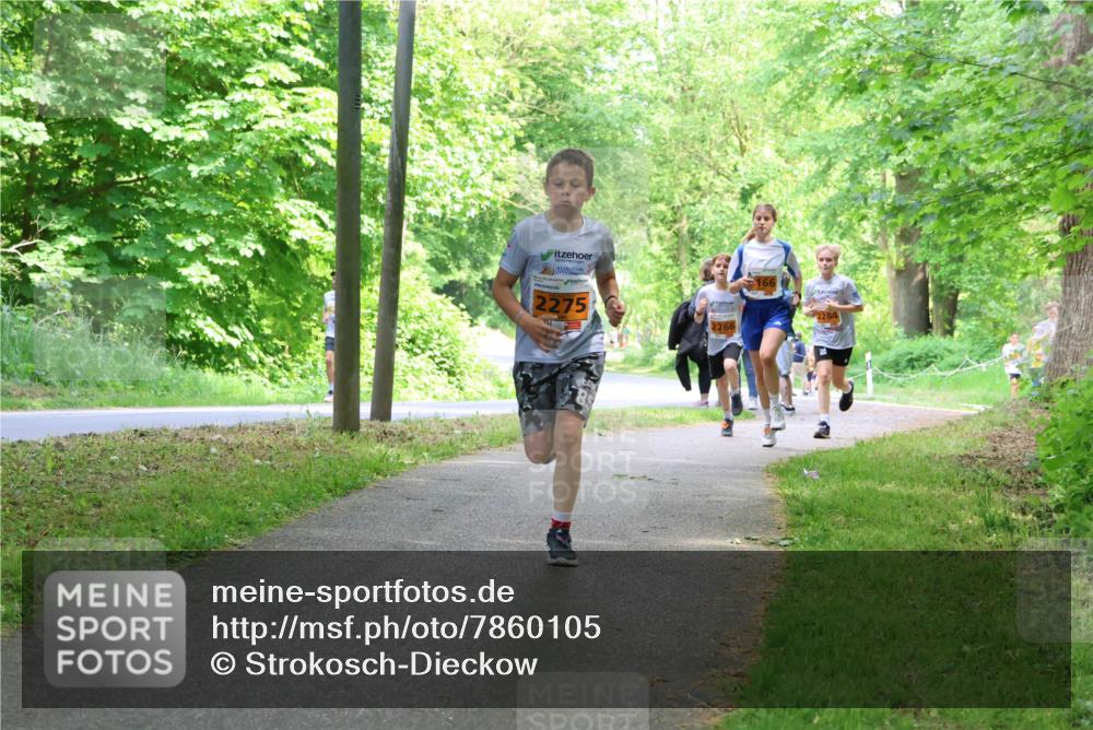 17.05.2025 - Störlauf Strokosch-Dieckow http://msf.ph/oto/7860105 17.05.2025 15:24:05 Laufen 2275, 2266, 166, 2284 meine-sportfotos.de
