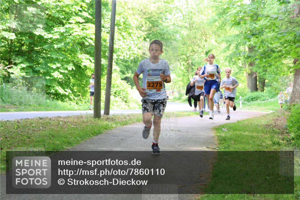 17.05.2025 - Störlauf Strokosch-Dieckow http://msf.ph/oto/7860110 17.05.2025 15:24:05 Laufen 2275, 2266 meine-sportfotos.de