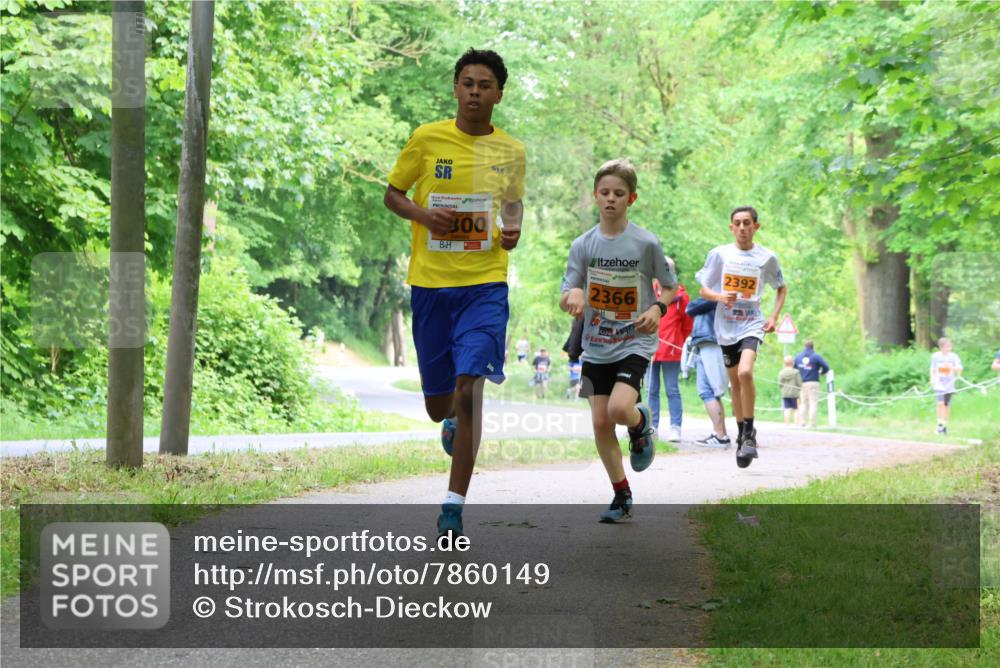 17.05.2025 - Störlauf Strokosch-Dieckow http://msf.ph/oto/7860149 17.05.2025 15:24:16 Laufen 00, 2366, 2392 meine-sportfotos.de