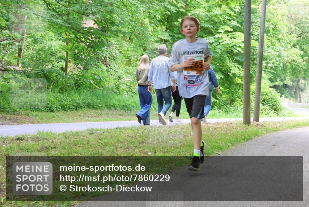 17.05.2025 - Störlauf Strokosch-Dieckow http://msf.ph/oto/7860229 17.05.2025 15:24:34 Laufen 65 meine-sportfotos.de