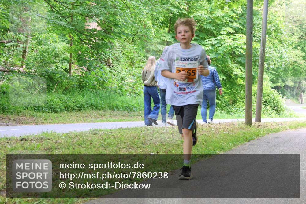 17.05.2025 - Störlauf Strokosch-Dieckow http://msf.ph/oto/7860238 17.05.2025 15:24:34 Laufen 55 meine-sportfotos.de