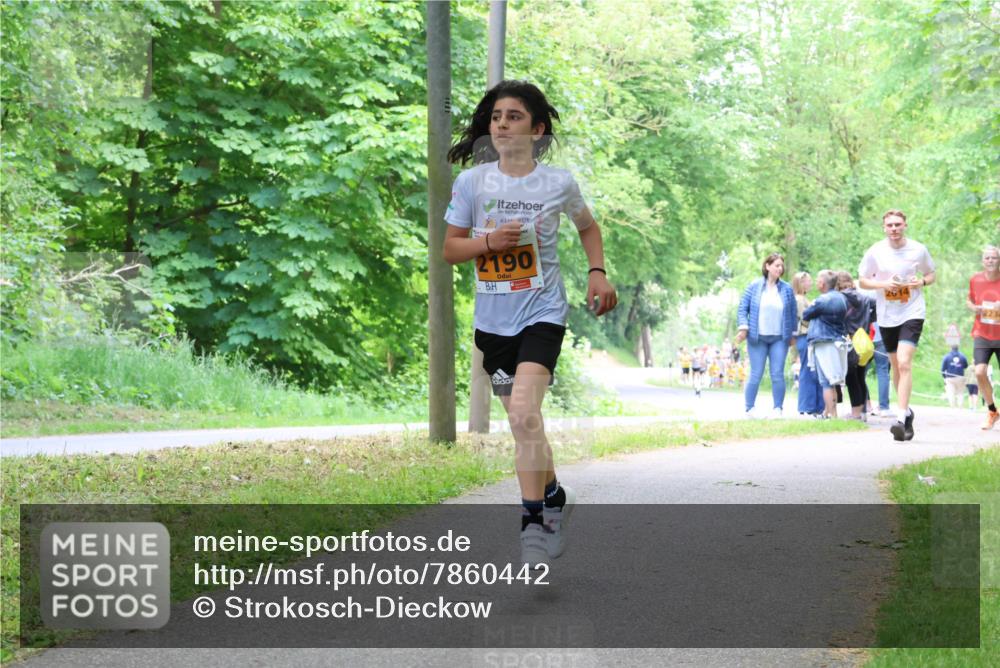 17.05.2025 - Störlauf Strokosch-Dieckow http://msf.ph/oto/7860442 17.05.2025 15:25:23 Laufen 2190 meine-sportfotos.de