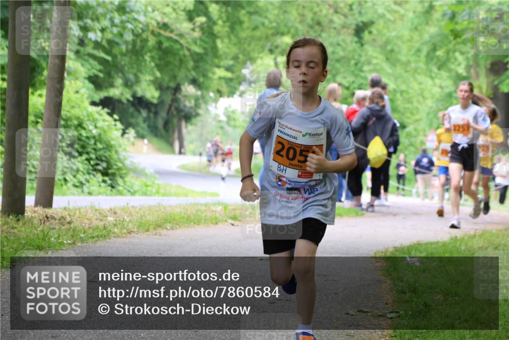 17.05.2025 - Störlauf Strokosch-Dieckow http://msf.ph/oto/7860584 17.05.2025 15:25:54 Laufen 2025, 205 meine-sportfotos.de