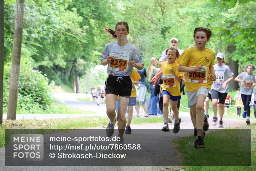 17.05.2025 - Störlauf Strokosch-Dieckow http://msf.ph/oto/7860588 17.05.2025 15:25:57 Laufen 2257, 2095, 2048, 261, 1897 meine-sportfotos.de