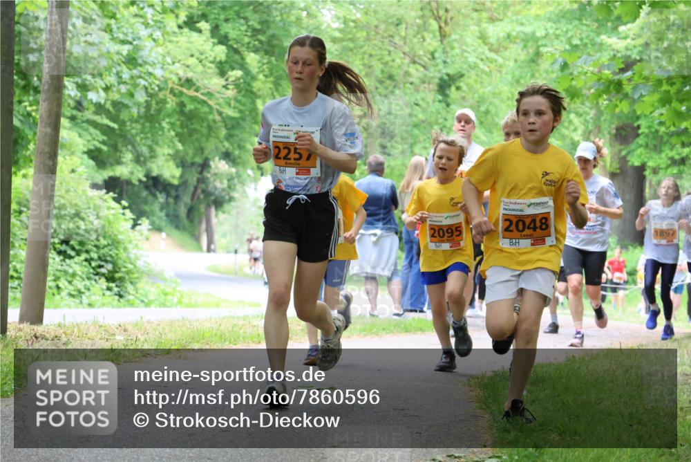 17.05.2025 - Störlauf Strokosch-Dieckow http://msf.ph/oto/7860596 17.05.2025 15:25:58 Laufen 2257, 2095, 2048, 1897 meine-sportfotos.de
