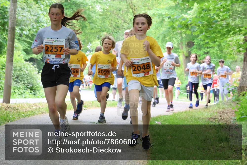 17.05.2025 - Störlauf Strokosch-Dieckow http://msf.ph/oto/7860600 17.05.2025 15:25:58 Laufen 2025, 2257, 66, 2095, 2025, 2048, 5261 meine-sportfotos.de