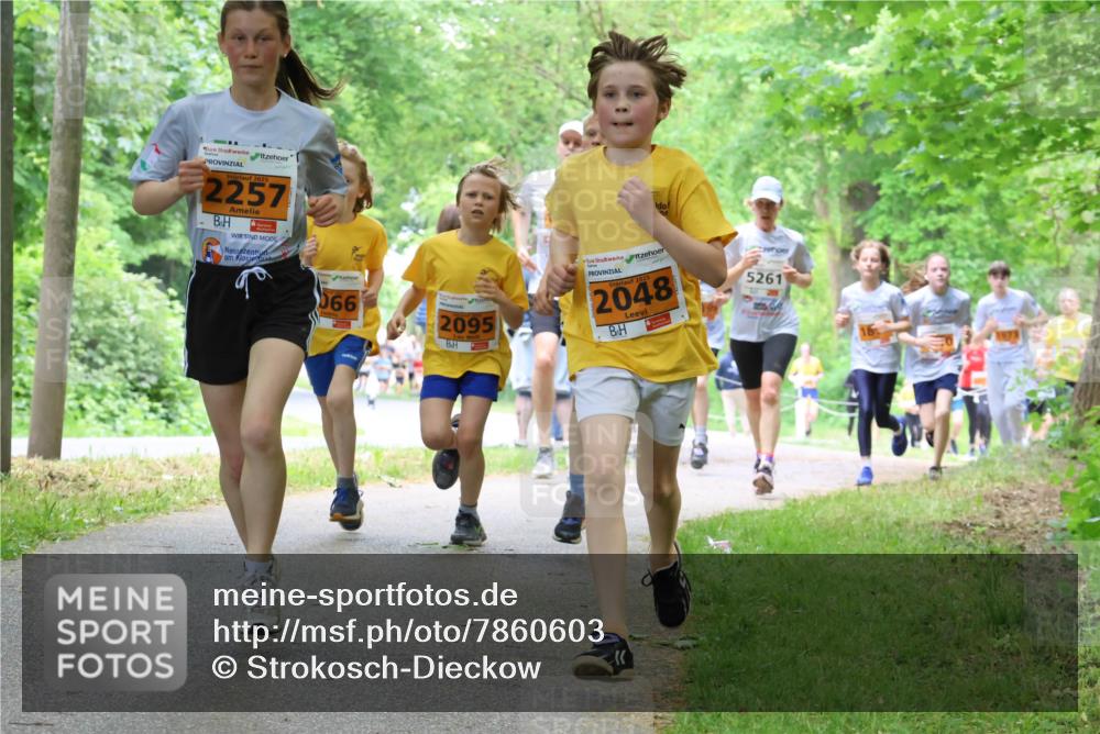 17.05.2025 - Störlauf Strokosch-Dieckow http://msf.ph/oto/7860603 17.05.2025 15:25:58 Laufen 2257, 066, 2095, 2025, 2048, 5261 meine-sportfotos.de