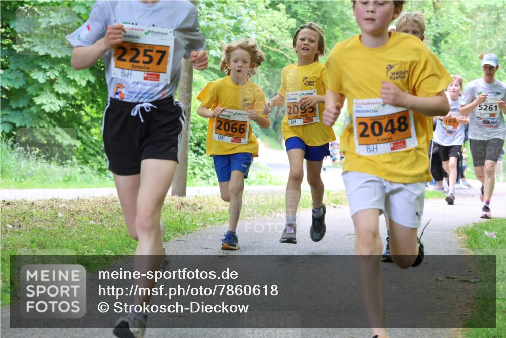 17.05.2025 - Störlauf Strokosch-Dieckow http://msf.ph/oto/7860618 17.05.2025 15:25:59 Laufen 2025, 2257, 2066, 2095, 2025, 2048, 189, 5261 meine-sportfotos.de