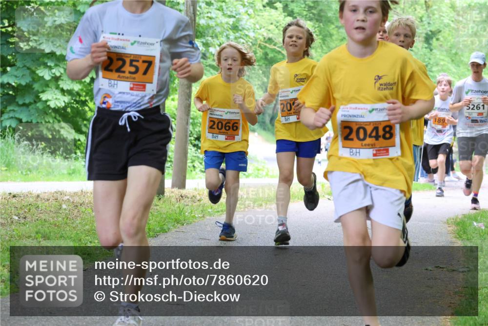 17.05.2025 - Störlauf Strokosch-Dieckow http://msf.ph/oto/7860620 17.05.2025 15:25:59 Laufen 2025, 2257, 2066, 202, 20, 2025, 2048, 5261, 189 meine-sportfotos.de