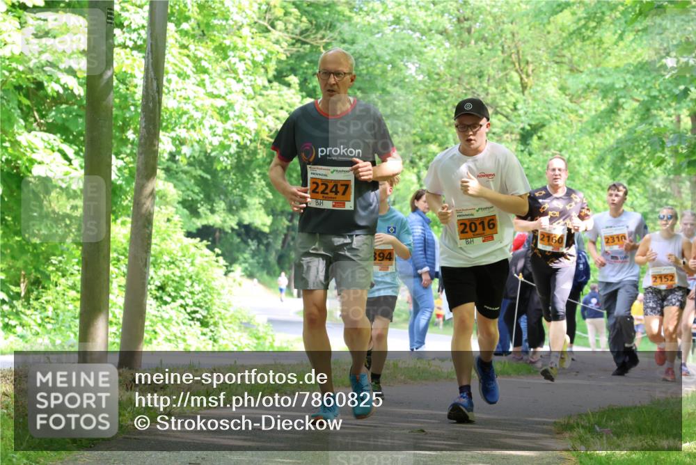 17.05.2025 - Störlauf Strokosch-Dieckow http://msf.ph/oto/7860825 17.05.2025 15:26:40 Laufen 2247, 394, 2016, 2160, 2310, 2152 meine-sportfotos.de