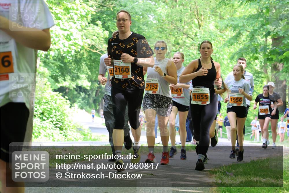 17.05.2025 - Störlauf Strokosch-Dieckow http://msf.ph/oto/7860847 17.05.2025 15:26:44 Laufen 6, 22160, 2152, 1961, 1855, 1956, 2289 meine-sportfotos.de