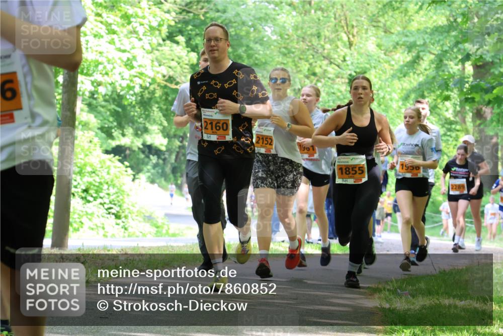 17.05.2025 - Störlauf Strokosch-Dieckow http://msf.ph/oto/7860852 17.05.2025 15:26:44 Laufen 6, 88, 2160, 2152, 1901, 1855, 1950, 2289 meine-sportfotos.de