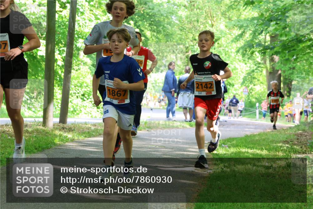 17.05.2025 - Störlauf Strokosch-Dieckow http://msf.ph/oto/7860930 17.05.2025 15:26:52 Laufen 7, 12, 2025, 1867, 50, 2142 meine-sportfotos.de