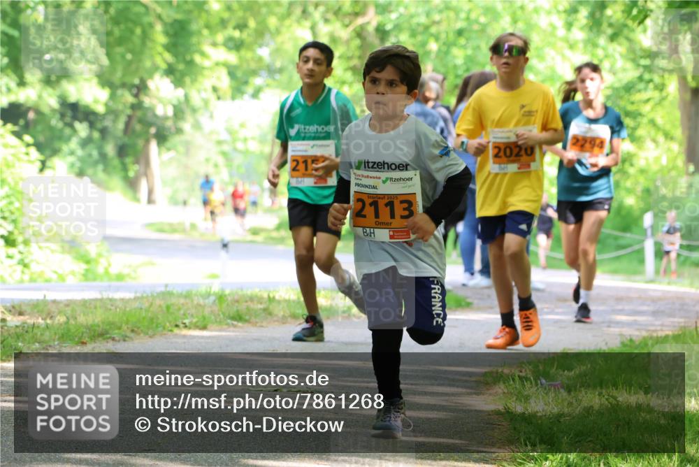 17.05.2025 - Störlauf Strokosch-Dieckow http://msf.ph/oto/7861268 17.05.2025 15:28:09 Laufen 215, 2025, 2113, 2020, 2294 meine-sportfotos.de