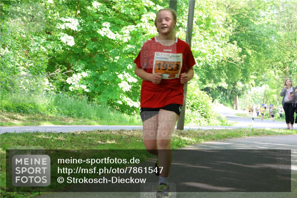 17.05.2025 - Störlauf Strokosch-Dieckow http://msf.ph/oto/7861547 17.05.2025 15:30:10 Laufen 1953 meine-sportfotos.de