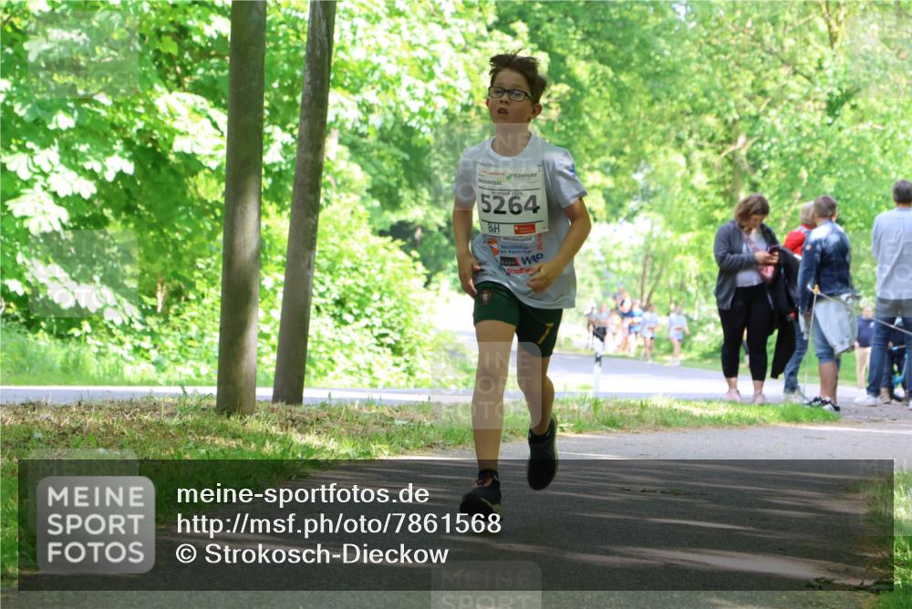 17.05.2025 - Störlauf Strokosch-Dieckow http://msf.ph/oto/7861568 17.05.2025 15:30:27 Laufen 2025, 5264 meine-sportfotos.de