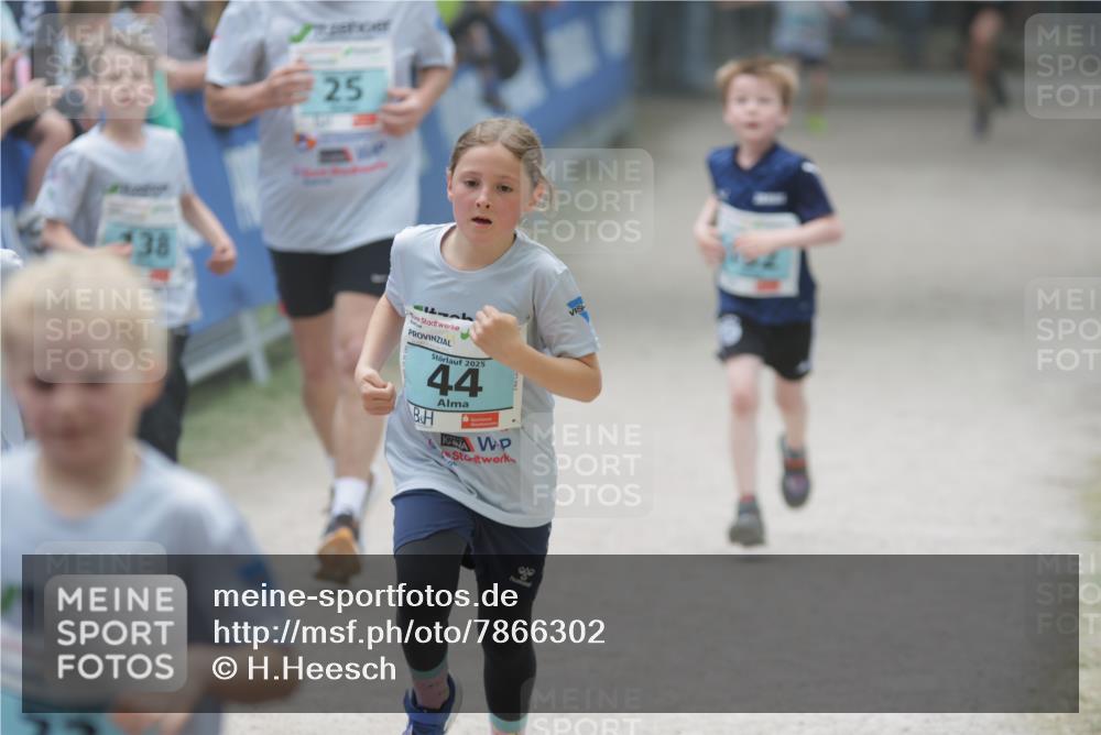 17.05.2025 - Störlauf H.Heesch http://msf.ph/oto/7866302 17.05.2025 13:42:32 Ziel  meine-sportfotos.de