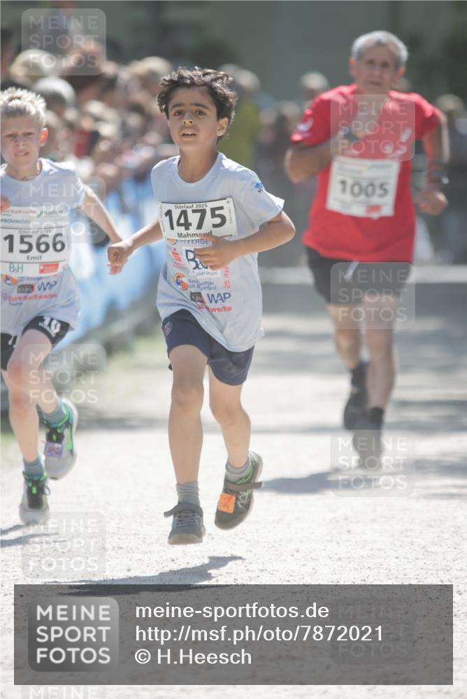 17.05.2025 - Störlauf H.Heesch http://msf.ph/oto/7872021 17.05.2025 14:40:46 Ziel  meine-sportfotos.de
