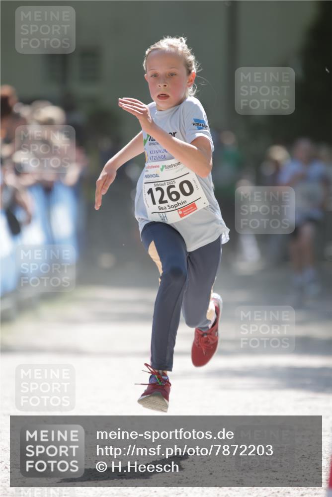 17.05.2025 - Störlauf H.Heesch http://msf.ph/oto/7872203 17.05.2025 14:42:22 Ziel  meine-sportfotos.de