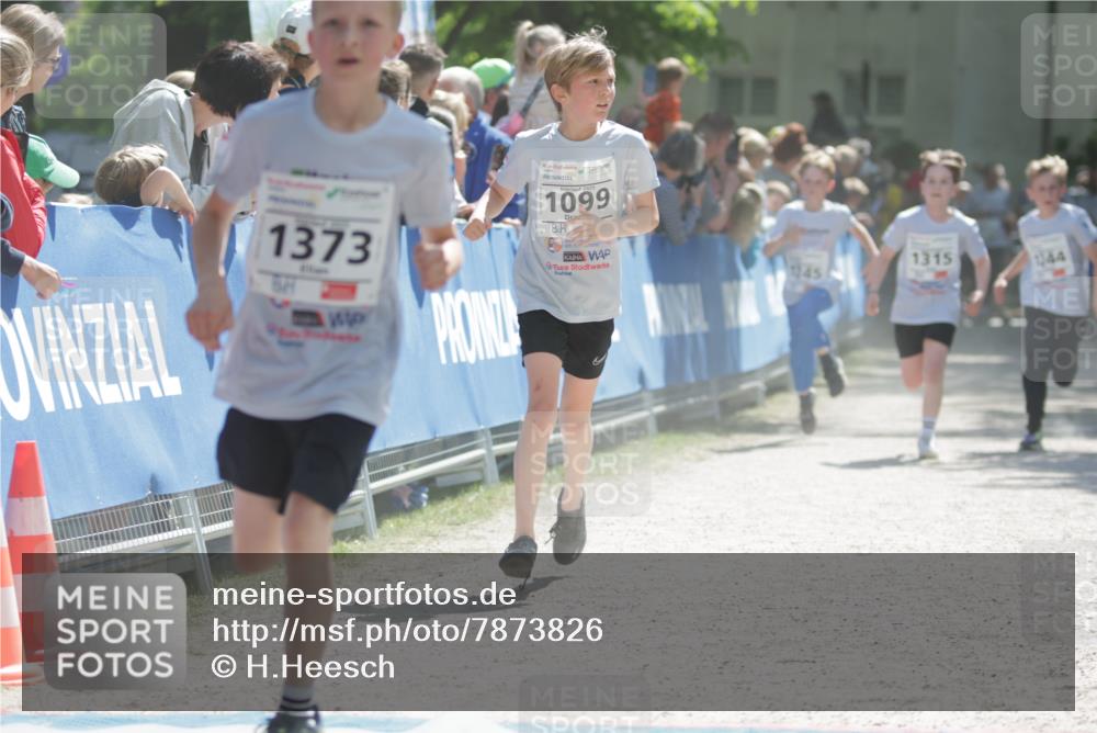 17.05.2025 - Störlauf H.Heesch http://msf.ph/oto/7873826 17.05.2025 14:46:38 Ziel  meine-sportfotos.de