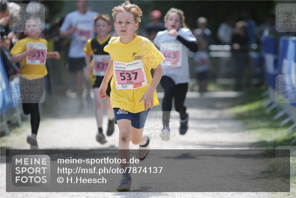 17.05.2025 - Störlauf H.Heesch http://msf.ph/oto/7874137 17.05.2025 13:56:12 Ziel  meine-sportfotos.de