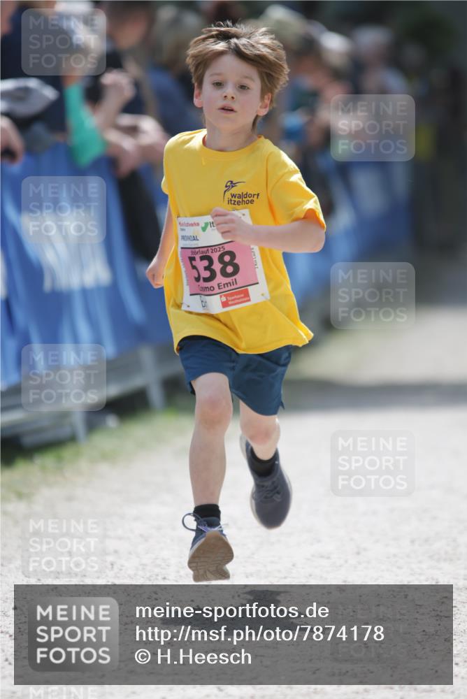 17.05.2025 - Störlauf H.Heesch http://msf.ph/oto/7874178 17.05.2025 13:56:39 Ziel  meine-sportfotos.de