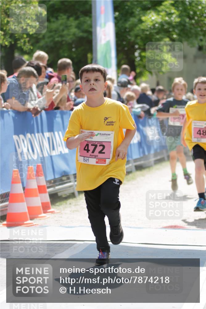 17.05.2025 - Störlauf H.Heesch http://msf.ph/oto/7874218 17.05.2025 13:57:03 Ziel  meine-sportfotos.de