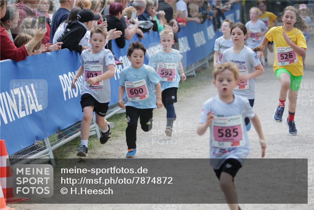 17.05.2025 - Störlauf H.Heesch http://msf.ph/oto/7874872 17.05.2025 13:59:02 Ziel  meine-sportfotos.de