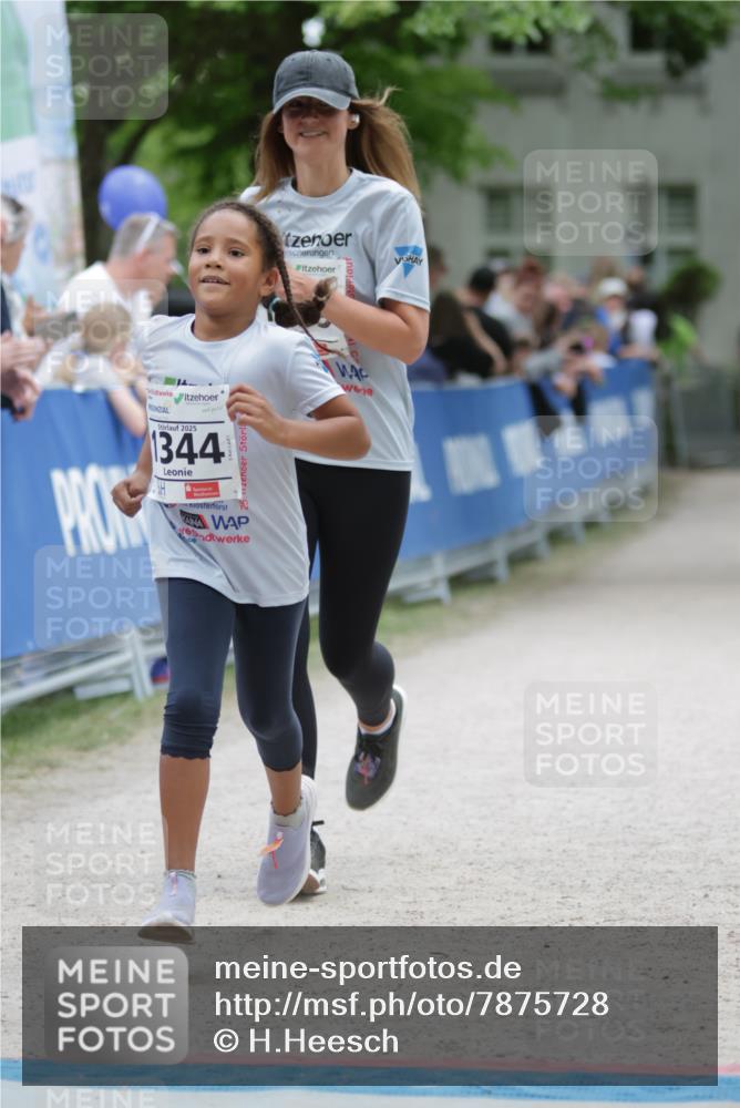 17.05.2025 - Störlauf H.Heesch http://msf.ph/oto/7875728 17.05.2025 15:00:01 Ziel  meine-sportfotos.de