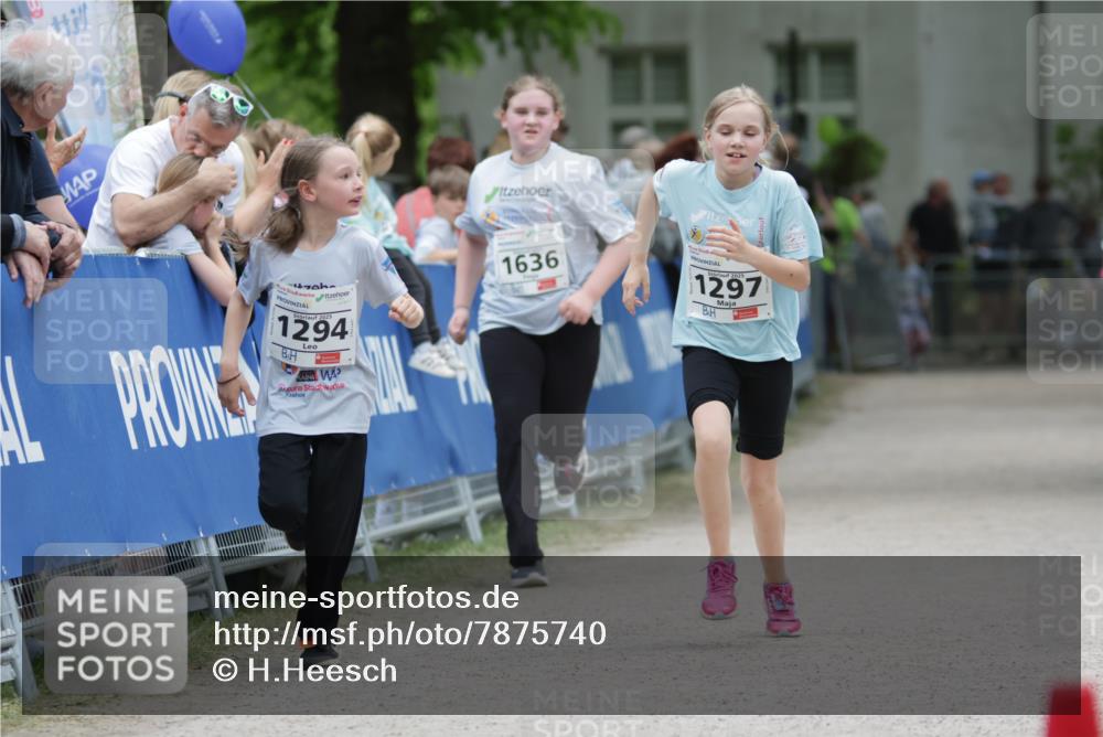 17.05.2025 - Störlauf H.Heesch http://msf.ph/oto/7875740 17.05.2025 15:00:21 Ziel  meine-sportfotos.de
