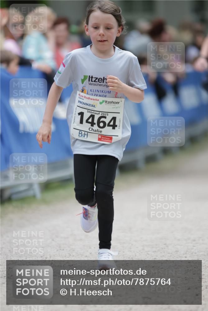 17.05.2025 - Störlauf H.Heesch http://msf.ph/oto/7875764 17.05.2025 15:01:02 Ziel  meine-sportfotos.de