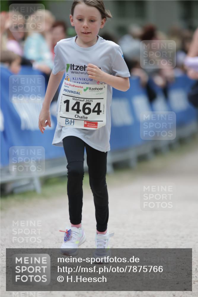 17.05.2025 - Störlauf H.Heesch http://msf.ph/oto/7875766 17.05.2025 15:01:02 Ziel  meine-sportfotos.de