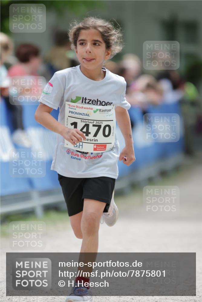 17.05.2025 - Störlauf H.Heesch http://msf.ph/oto/7875801 17.05.2025 15:02:48 Ziel  meine-sportfotos.de