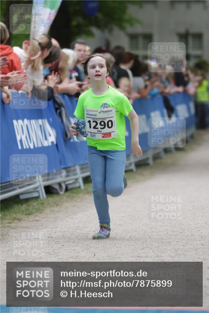 17.05.2025 - Störlauf H.Heesch http://msf.ph/oto/7875899 17.05.2025 15:17:59 Ziel  meine-sportfotos.de
