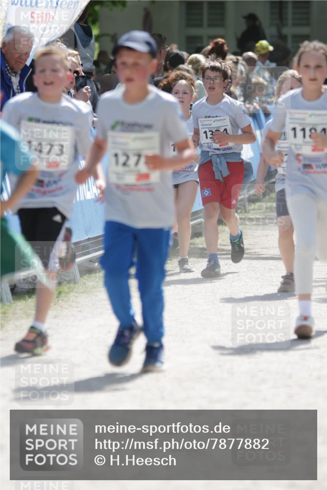 17.05.2025 - Störlauf H.Heesch http://msf.ph/oto/7877882 17.05.2025 14:50:42 Ziel  meine-sportfotos.de