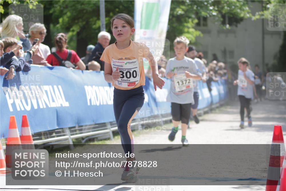17.05.2025 - Störlauf H.Heesch http://msf.ph/oto/7878828 17.05.2025 14:52:21 Ziel  meine-sportfotos.de