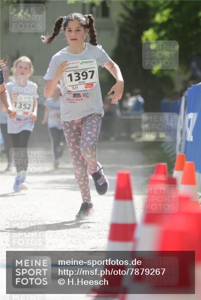 17.05.2025 - Störlauf H.Heesch http://msf.ph/oto/7879267 17.05.2025 14:53:24 Ziel  meine-sportfotos.de