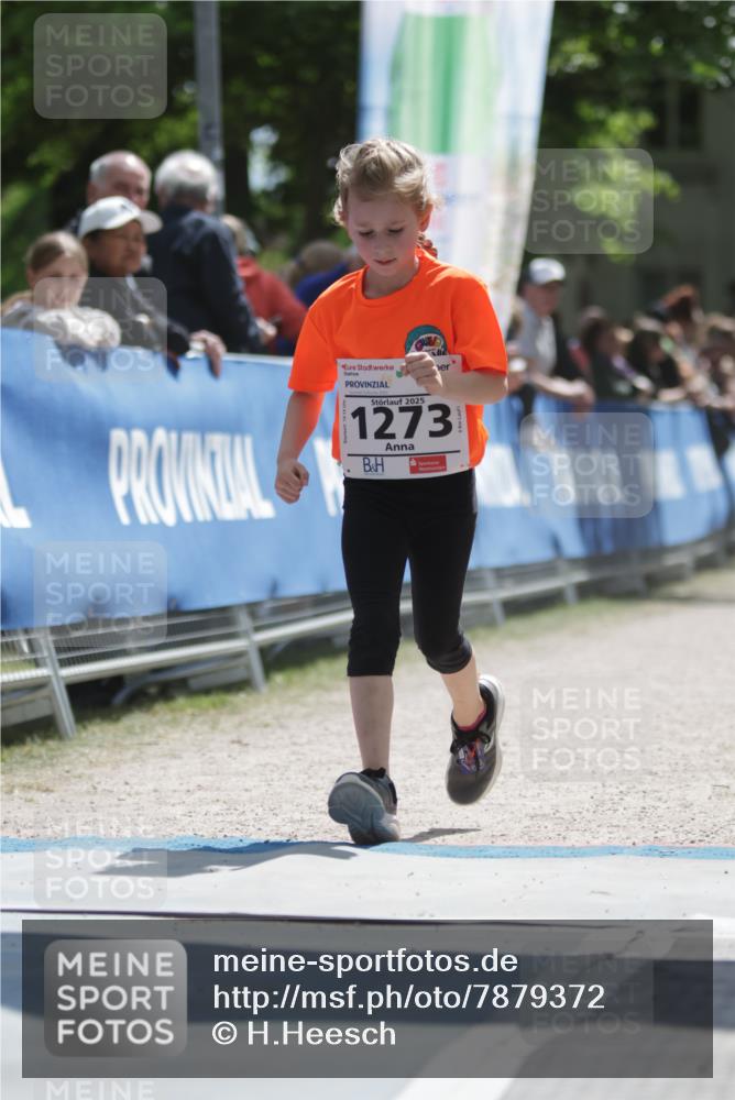 17.05.2025 - Störlauf H.Heesch http://msf.ph/oto/7879372 17.05.2025 14:53:45 Ziel  meine-sportfotos.de