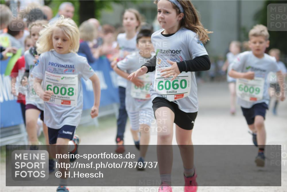 17.05.2025 - Störlauf H.Heesch http://msf.ph/oto/7879737 17.05.2025 13:16:55 Ziel  meine-sportfotos.de