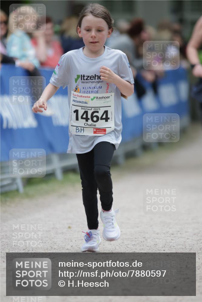 17.05.2025 - Störlauf H.Heesch http://msf.ph/oto/7880597 17.05.2025 15:01:02 Ziel  meine-sportfotos.de