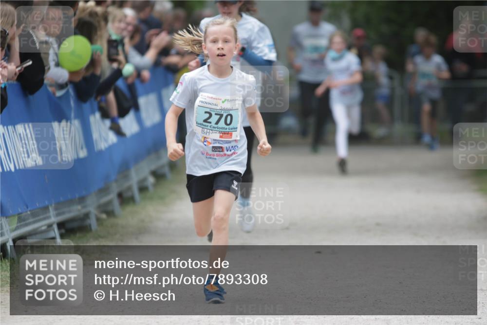 17.05.2025 - Störlauf H.Heesch http://msf.ph/oto/7893308 17.05.2025 13:41:48 Ziel 2025, 270 meine-sportfotos.de