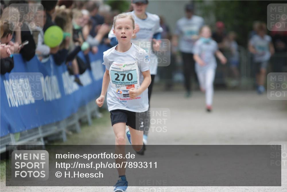 17.05.2025 - Störlauf H.Heesch http://msf.ph/oto/7893311 17.05.2025 13:41:49 Ziel 2025, 270 meine-sportfotos.de